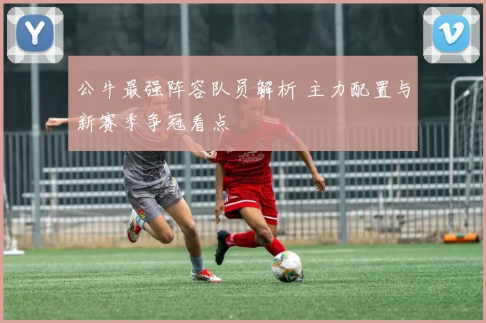 公牛最强阵容队员解析 主力配置与新赛季争冠看点