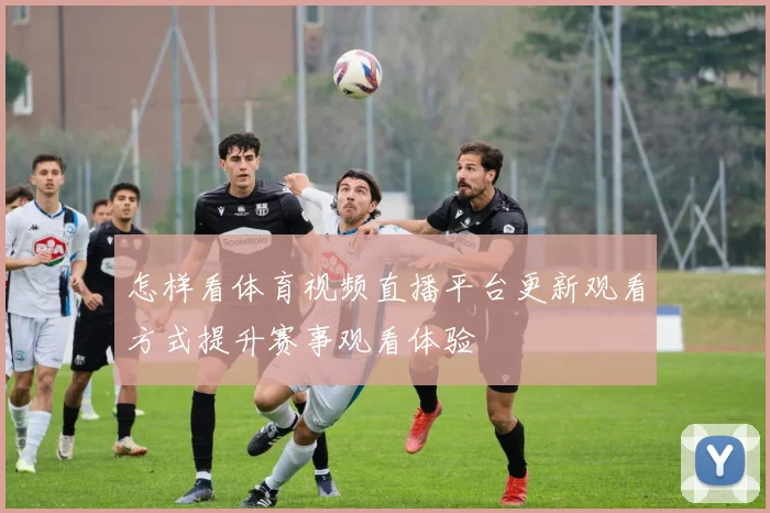 怎样看体育视频直播平台更新观看方式提升赛事观看体验