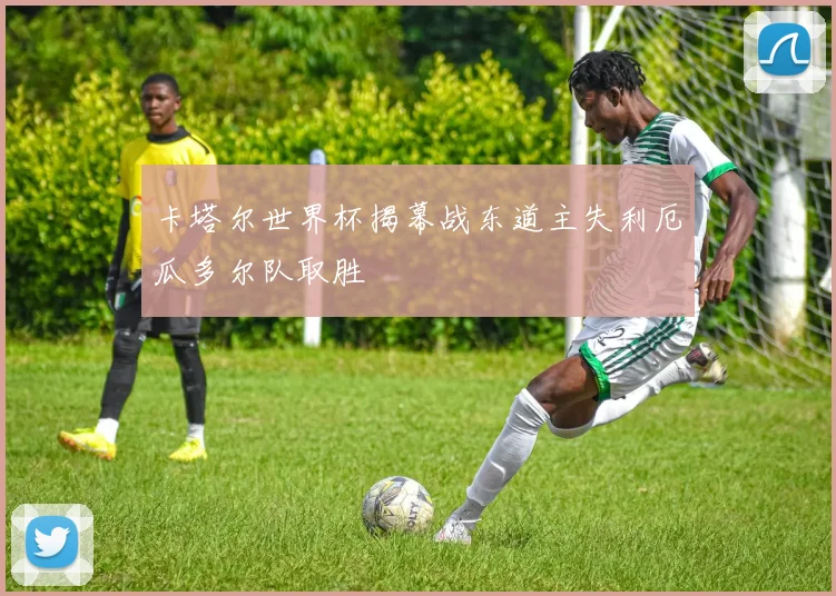 卡塔尔世界杯揭幕战东道主失利厄瓜多尔队取胜