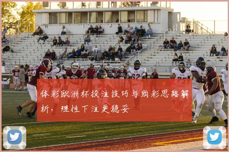 体彩欧洲杯投注技巧与购彩思路解析,理性下注更稳妥