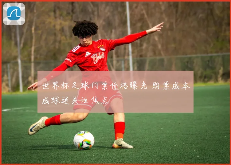 世界杯足球门票价格曝光 购票成本成球迷关注焦点